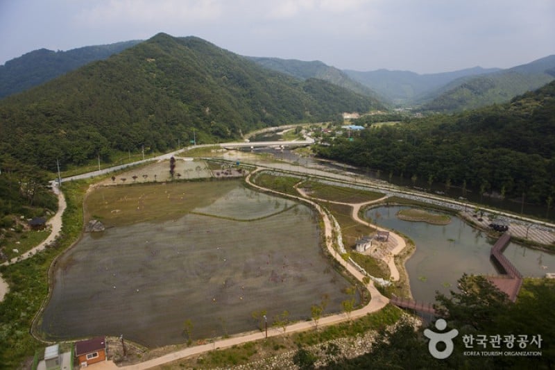 Okjeongho Lake Gujeolcho Theme Park  (17/23)