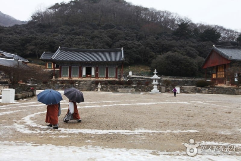 Seonunsan Provincial Park  (1/46)