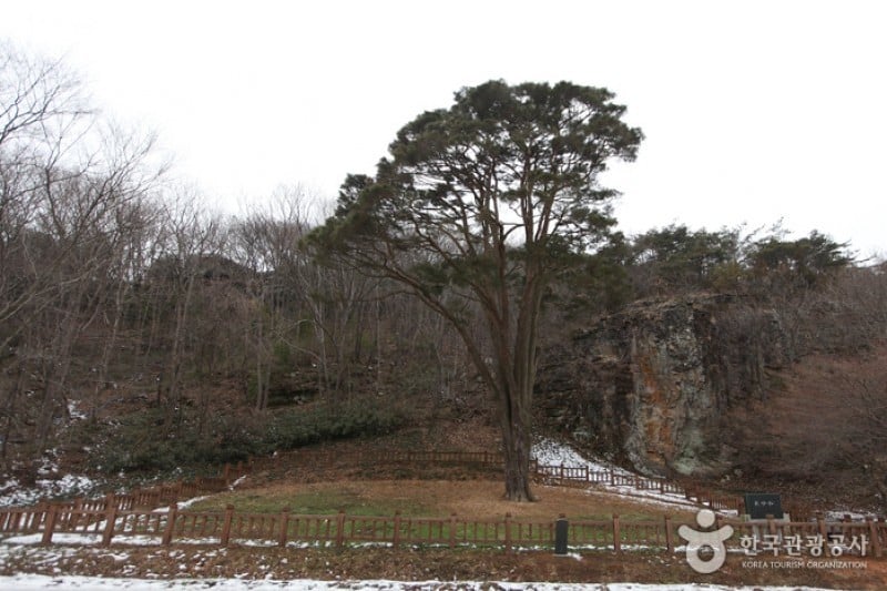 Seonunsan Provincial Park  (6/46)