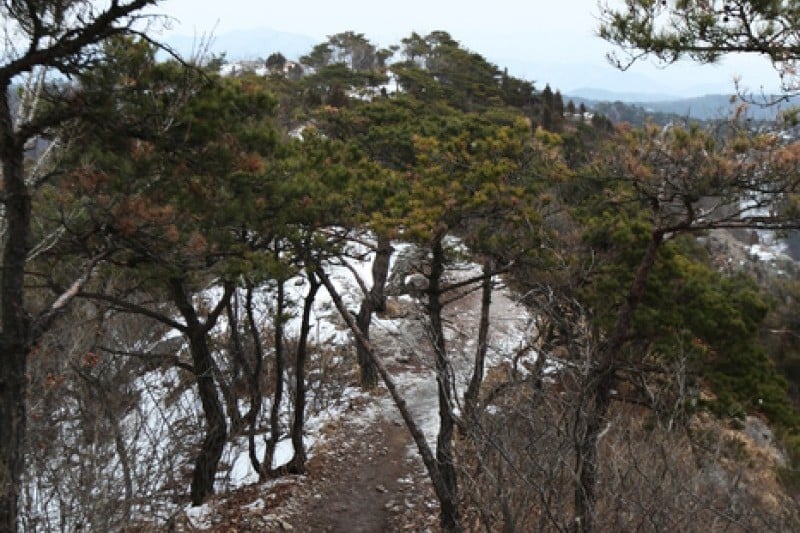 Seonunsan Provincial Park  (13/46)