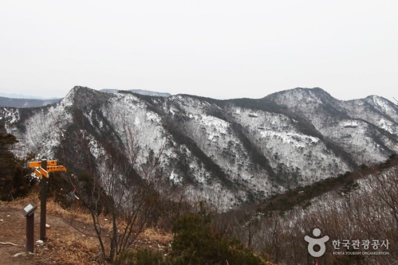 Seonunsan Provincial Park  (14/46)