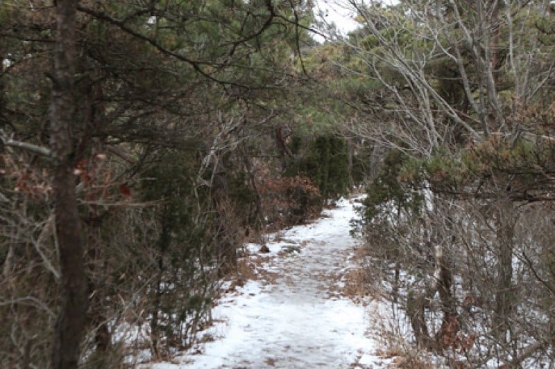 Seonunsan Provincial Park  (19/46)