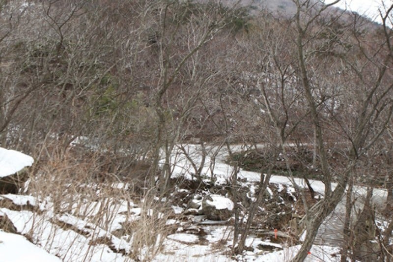 Seonunsan Provincial Park  (28/46)