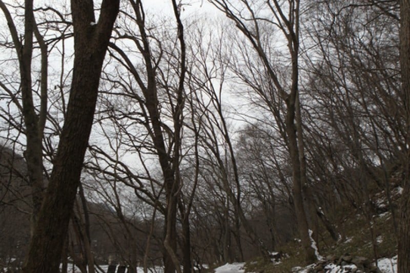 Seonunsan Provincial Park  (29/46)