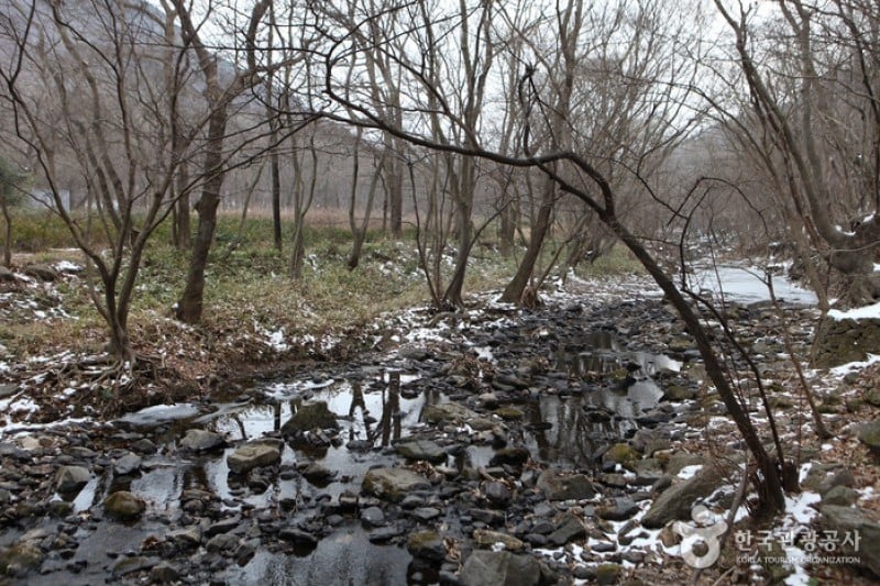 Seonunsan Provincial Park  (30/46)