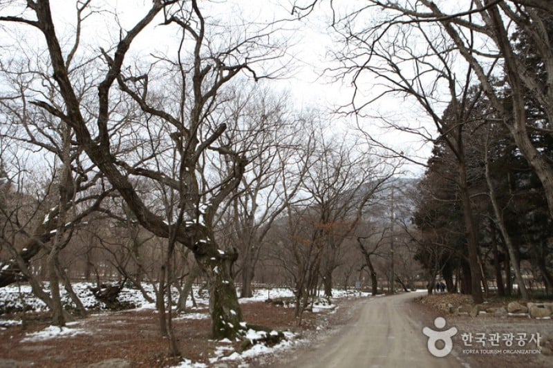 Seonunsan Provincial Park  (32/46)