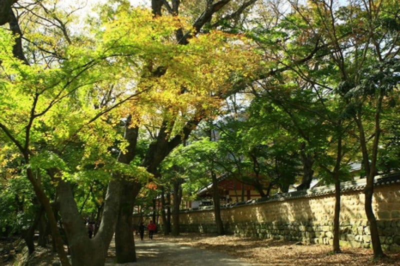 Seonunsan Provincial Park  (35/46)