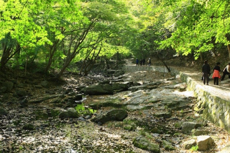 Seonunsan Provincial Park  (37/46)