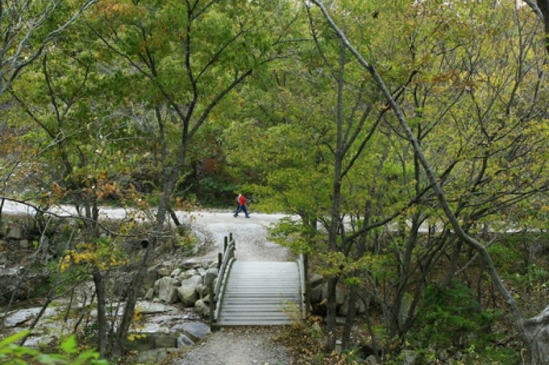 Seonunsan Provincial Park  (39/46)