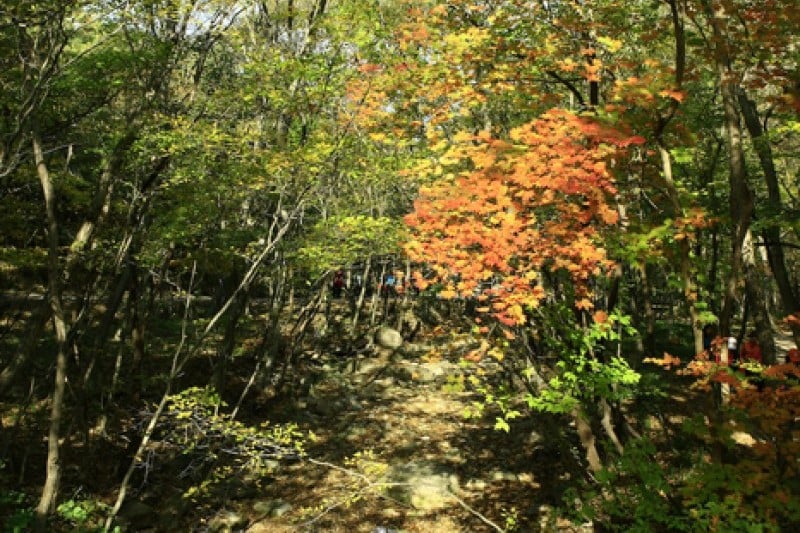 Seonunsan Provincial Park  (40/46)