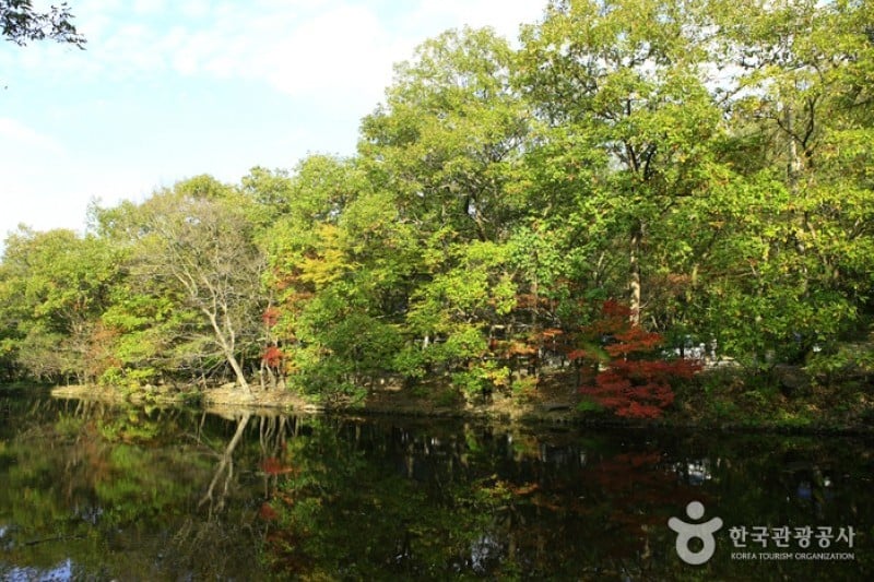 Seonunsan Provincial Park  (42/46)
