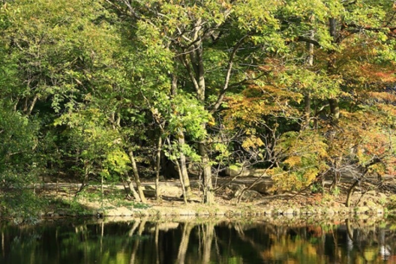 Seonunsan Provincial Park  (43/46)
