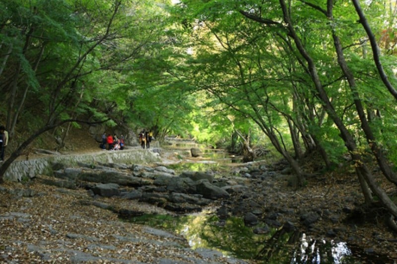 Seonunsan Provincial Park  (44/46)