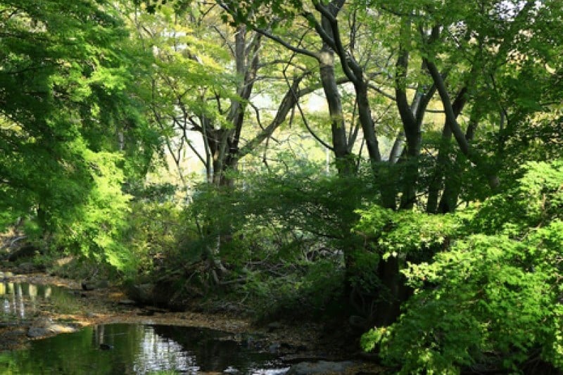 Seonunsan Provincial Park  (45/46)