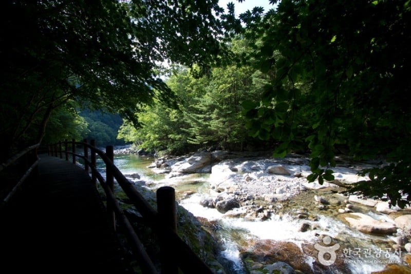 Baemsagol Valley  (5/5)