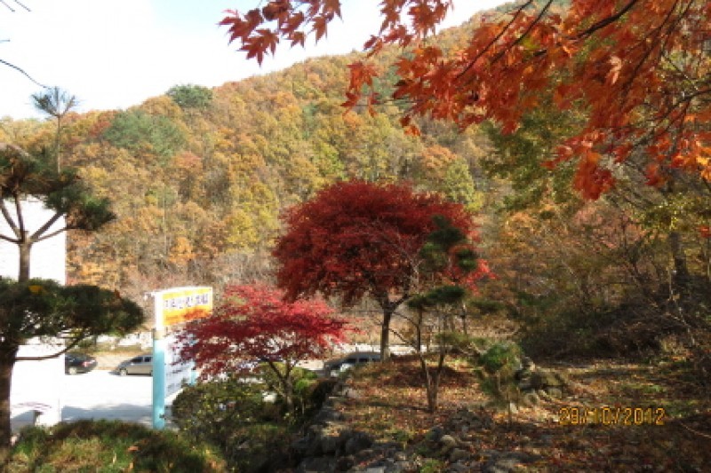 Jirisankhan hotel - Goodstay  (39/39)
