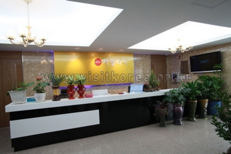 Camellia hotel - Goodstay  (2/23)