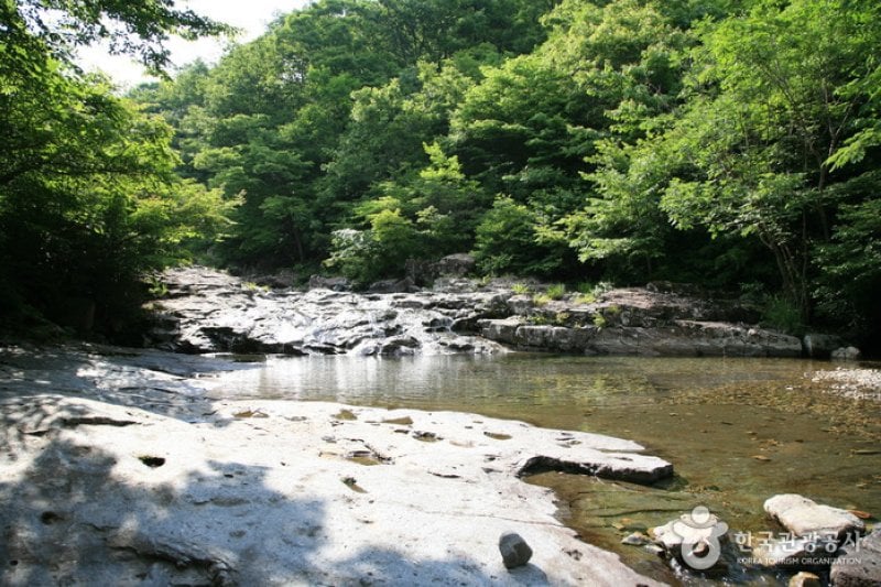 Unjangsan Mountain Natural Recreation Forest (국립 운장산자연휴양림) (1/11)