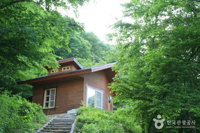 Unjangsan Mountain Natural Recreation Forest (국립 운장산자연휴양림) (3/11)