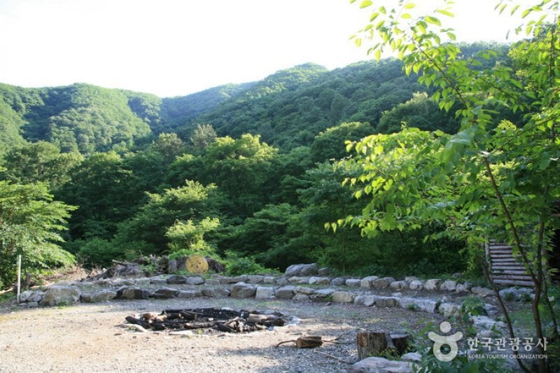 Unjangsan Mountain Natural Recreation Forest (국립 운장산자연휴양림) (10/11)