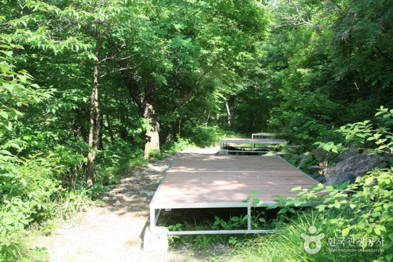 Unjangsan Mountain Natural Recreation Forest (국립 운장산자연휴양림) (11/11)
