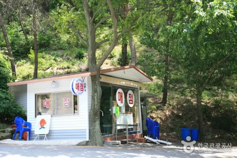 Namwon Recreational Forest (Namwon Resort) (남원자연휴양림) (2/14)