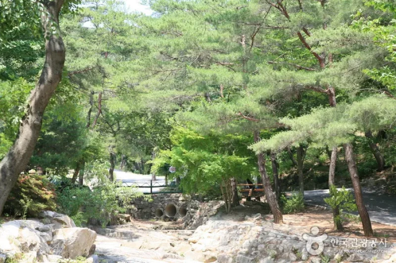 Namwon Recreational Forest (Namwon Resort) (남원자연휴양림) (13/14)