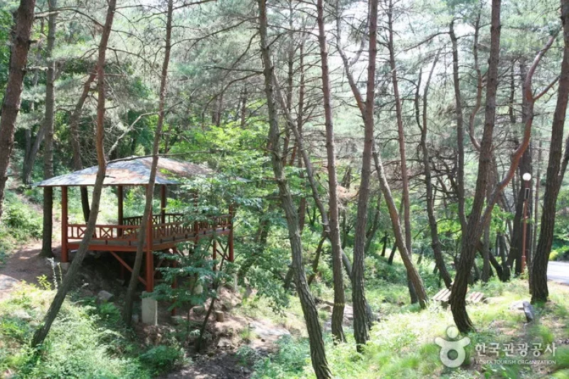 Namwon Recreational Forest (Namwon Resort) (남원자연휴양림) (14/14)