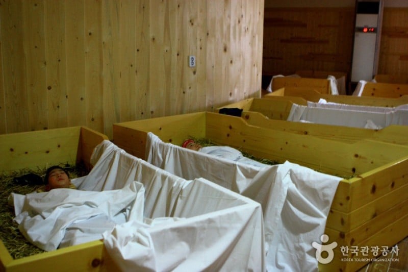 Jinan Red Ginseng Spa  (19/30)
