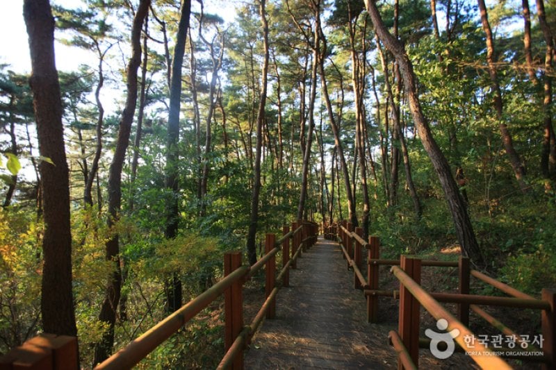 Chungnyeolsa Shrine (충렬사-정읍) (17/23)