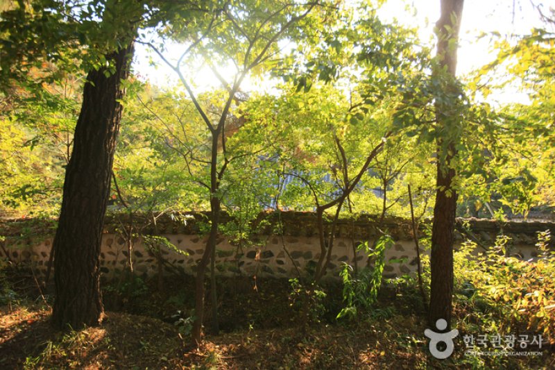 Chungnyeolsa Shrine (충렬사-정읍) (20/23)