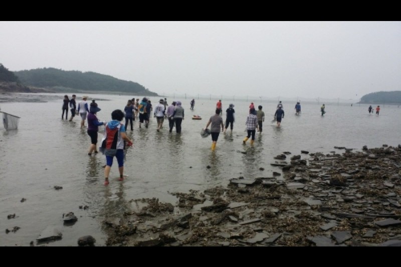 Sinsido Island Fishing Experience Village  (5/5)