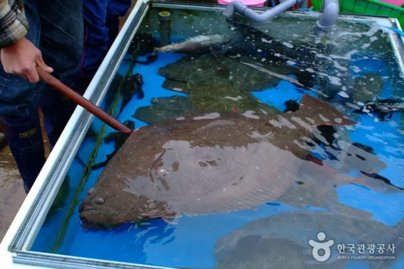 Gyeokpo Sea Fishing (격포앞바다낚시) (4/5)