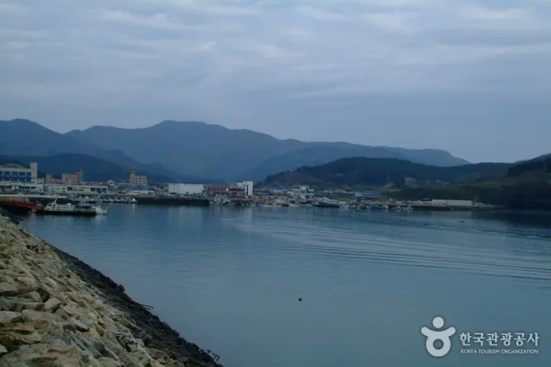 Gyeokpo Sea Fishing (격포앞바다낚시) (5/5)