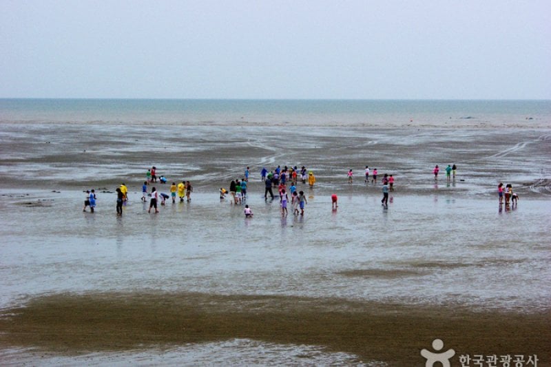Dongho Beach  (1/16)