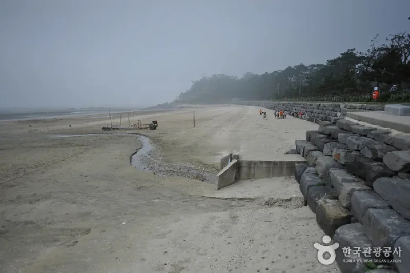 Dongho Beach  (3/16)
