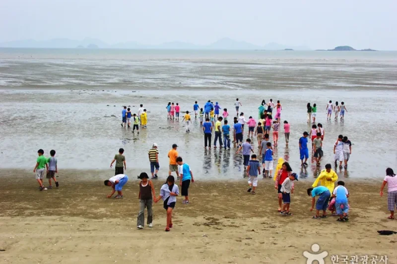 Dongho Beach  (7/16)
