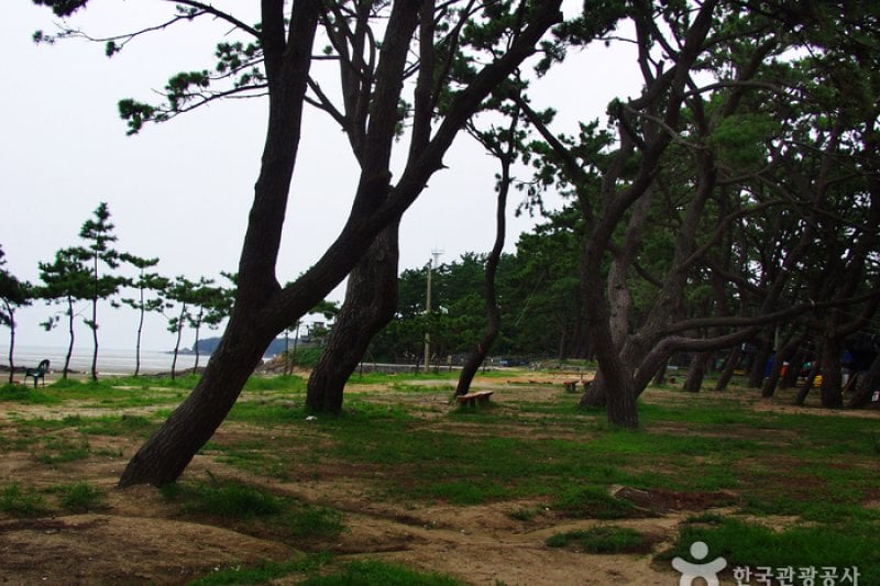 Dongho Beach  (9/16)