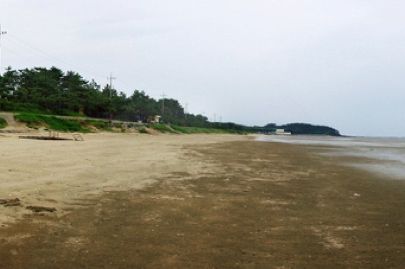 Dongho Beach  (10/16)