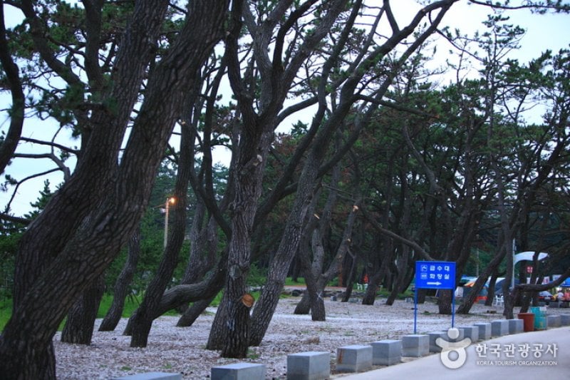 Dongho Beach  (14/16)