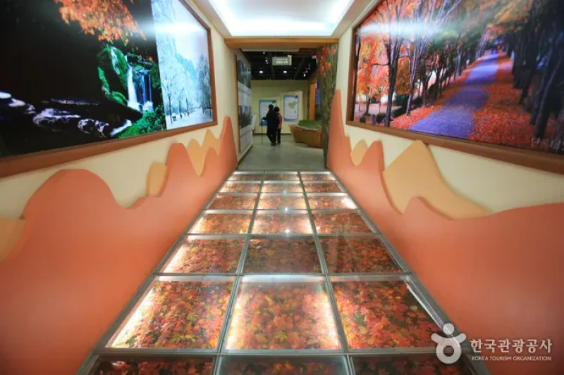 Mt. Naejangsan Visitor Information Center (내장산 탐방안내소) (2/11)