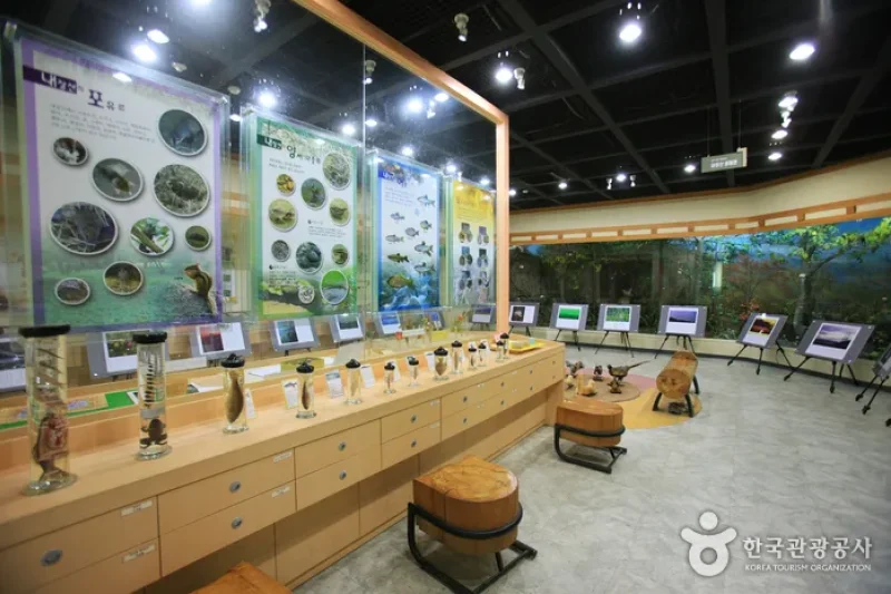 Mt. Naejangsan Visitor Information Center (내장산 탐방안내소) (4/11)