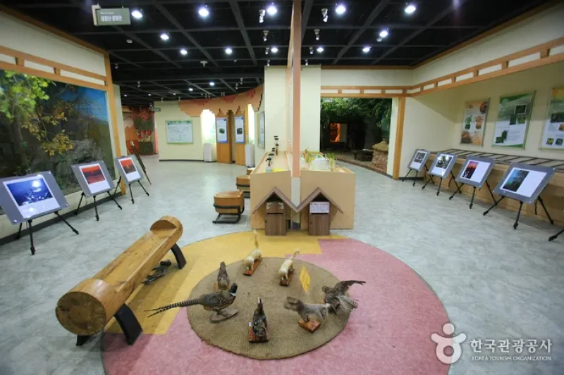 Mt. Naejangsan Visitor Information Center (내장산 탐방안내소) (5/11)