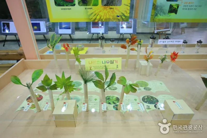Mt. Naejangsan Visitor Information Center (내장산 탐방안내소) (6/11)