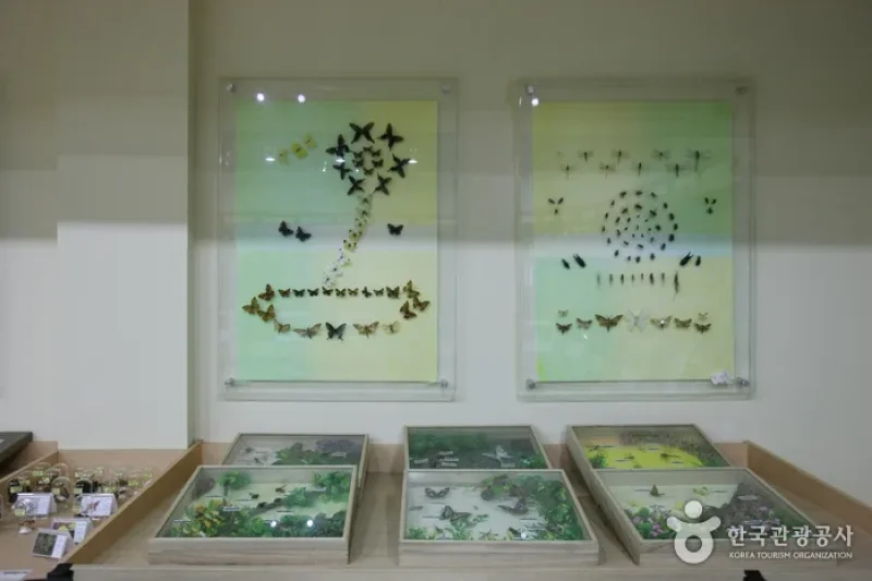 Mt. Naejangsan Visitor Information Center (내장산 탐방안내소) (7/11)