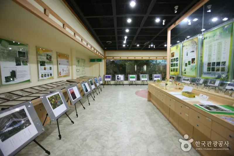 Mt. Naejangsan Visitor Information Center (내장산 탐방안내소) (8/11)