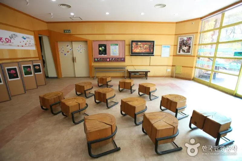 Mt. Naejangsan Visitor Information Center (내장산 탐방안내소) (10/11)