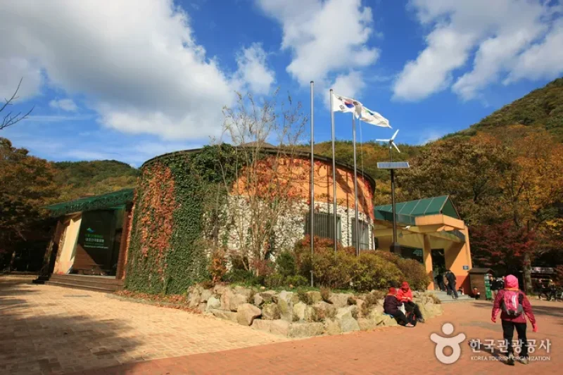 Mt. Naejangsan Visitor Information Center (내장산 탐방안내소) (11/11)