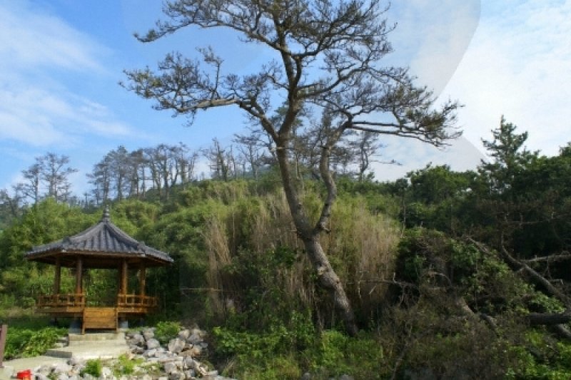 Eocheongdo Island (어청도) (3/14)