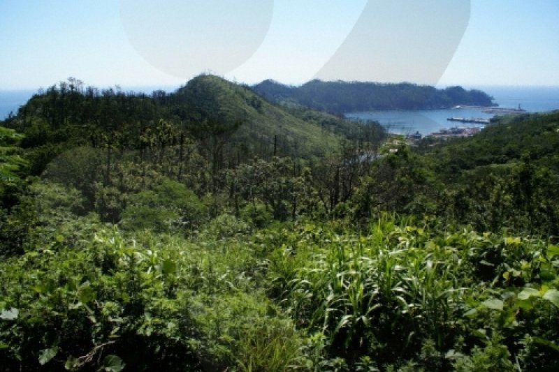 Eocheongdo Island (어청도) (12/14)